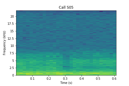 A spectrogram is a graph that visually shows sound Spectrogram for S05